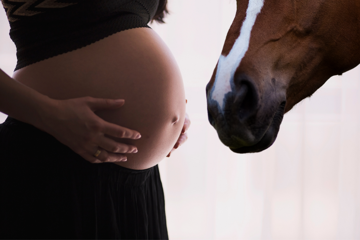 Horse riding while pregnant 4 things you should know My Riding Underwear
