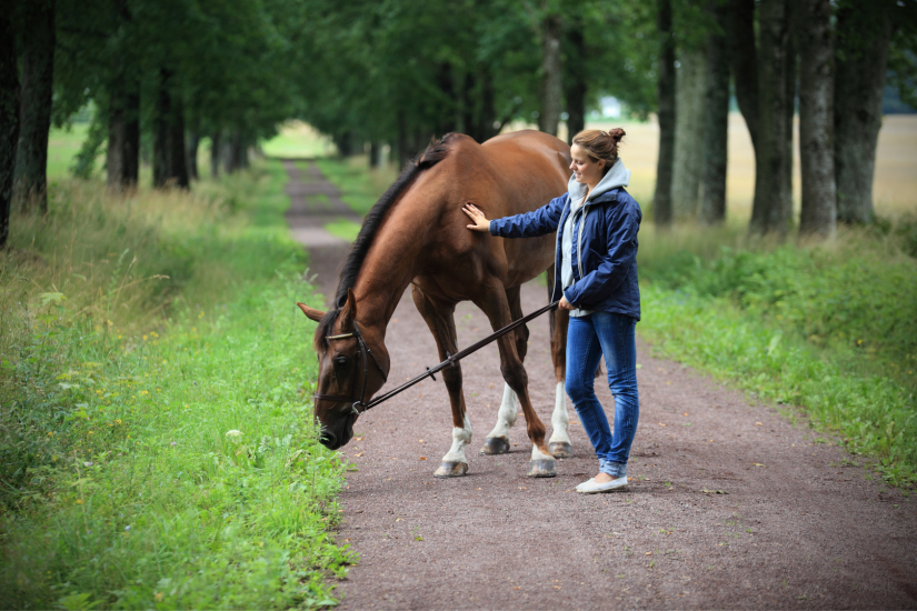 The Essential Guide to Vaginal Health While Horse Riding My Riding