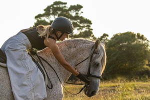 Knowledge Guide: Equestrian-Friendly Underwear