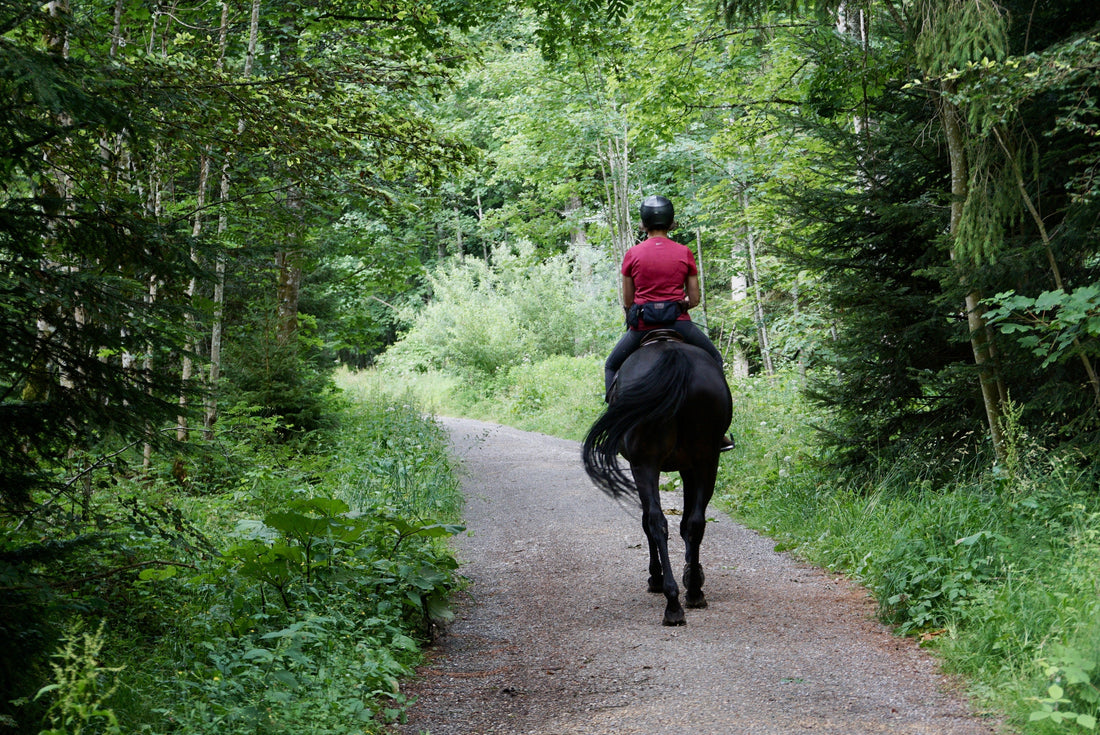 7 rules to be a comfy rider - My Riding Underwear