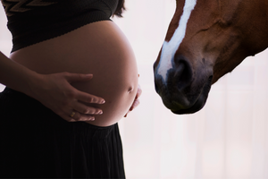 L'équitation pendant la grossesse : 4 choses à savoir