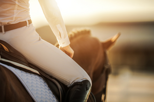 Understanding Horse Sensitivity: Fact and Tips