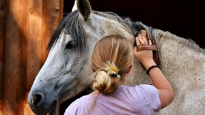 Can I lose my virginity if I ride a horse?