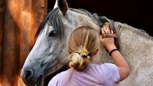 Je peux perdre ma virginité si je monte à cheval ?