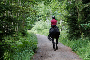 7 reglas para montar a caballo cómodamente