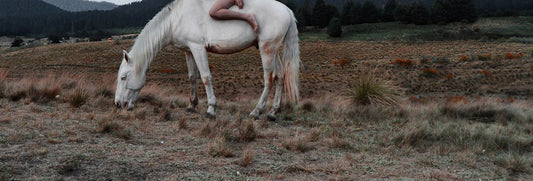 Disadvantages of Horse Riding for Females: 7 Health Issues - My Riding Underwear