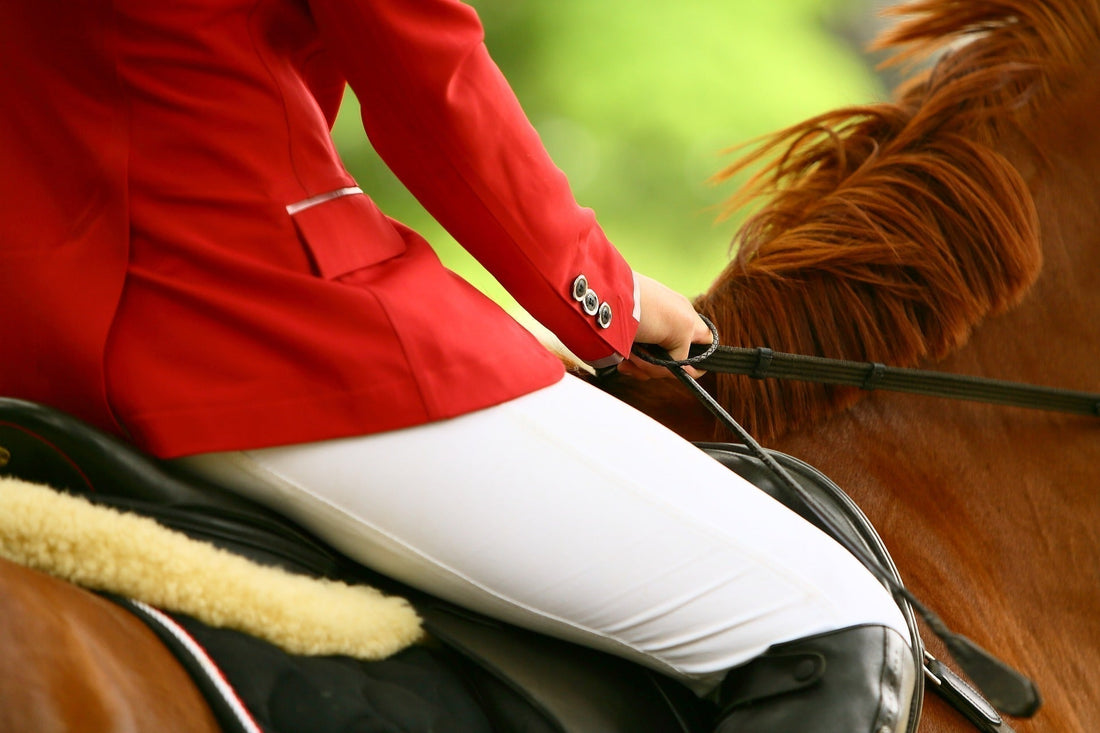 Saddle Sore in Horse Riders: Causes, Prevention, and Comfort Tips - My Riding Underwear