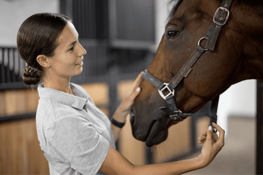The Best Sports Bra for Horse Riding: How to Choose the Right Fi - My Riding Underwear