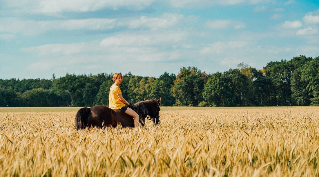 Urinary Tract Infections in Horse Riders: Causes and Prevention - My Riding Underwear