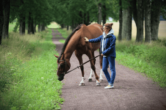 Vaginal Health and Horse Riding: What Every Rider Should Know - My Riding Underwear